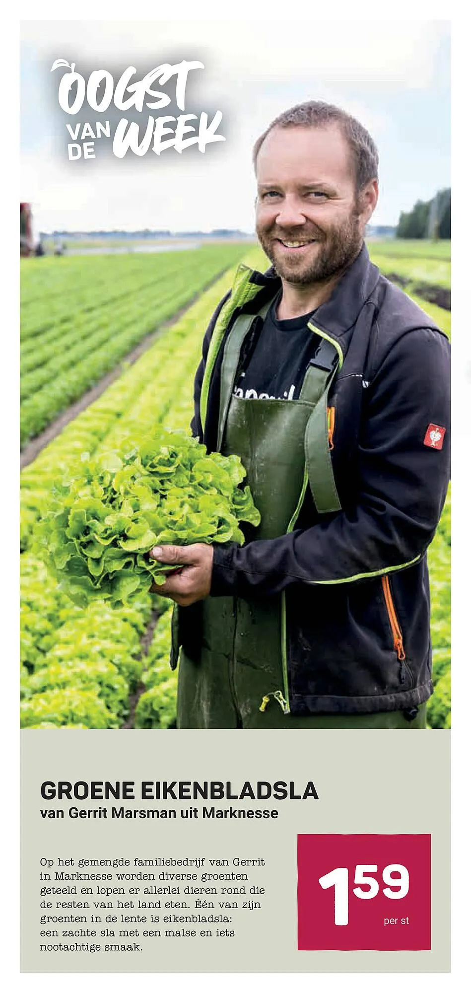 Ekoplaza folder van 30 april tot 6 mei 2025 - Folder pagina 12