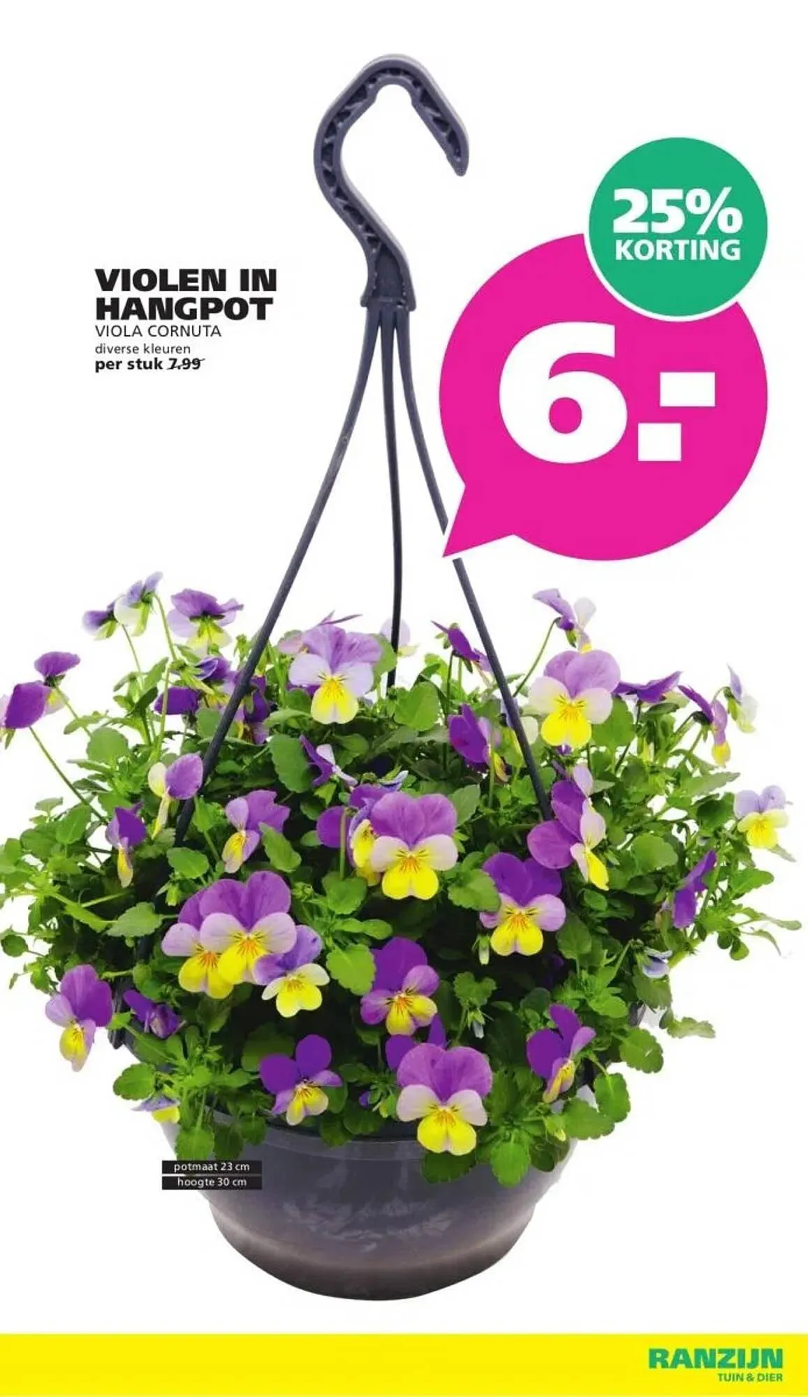 Ranzijn folder van 22 februari tot 7 maart 2026 - Folder pagina 6