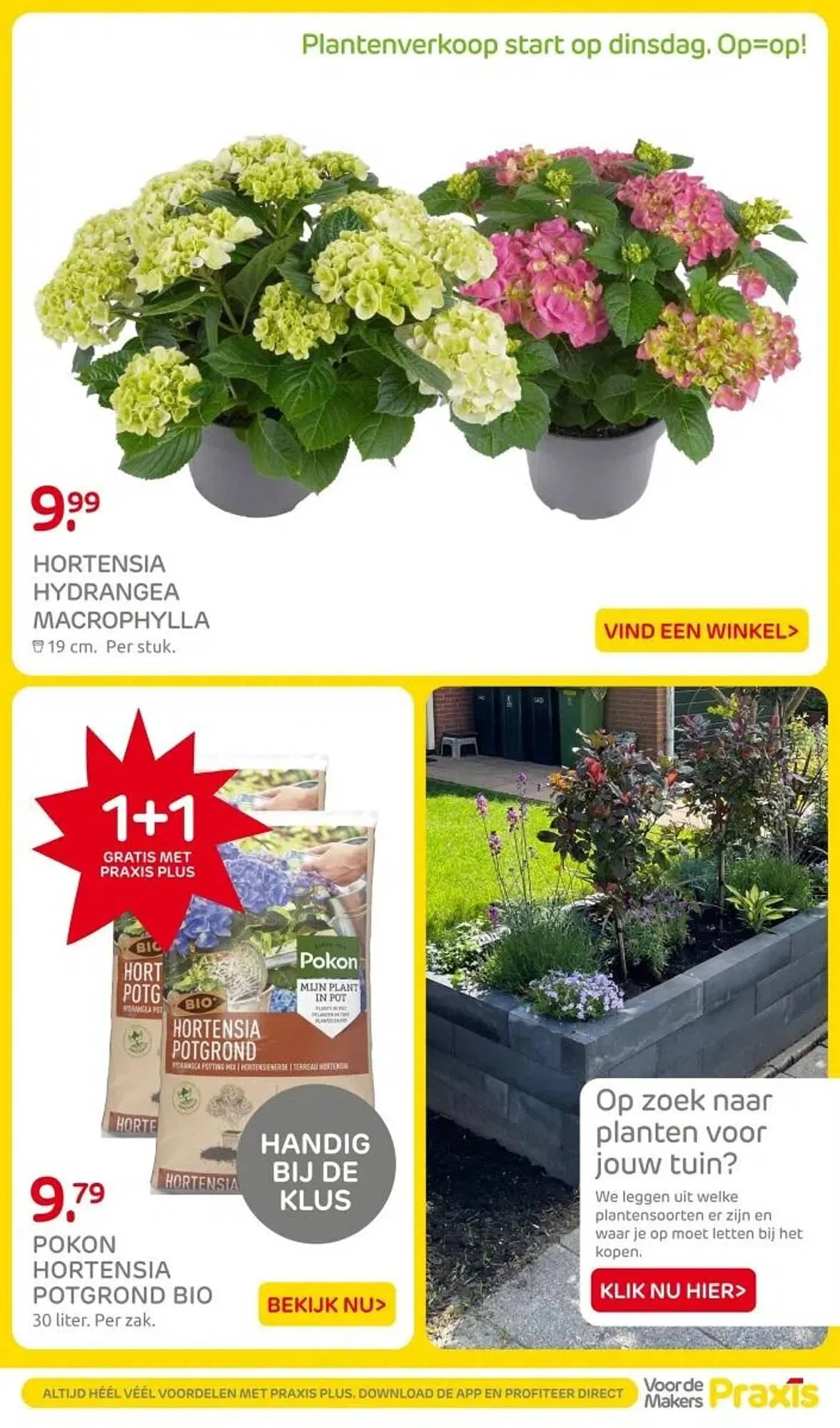 Praxis folder van 28 april tot 4 mei 2025 - Folder pagina 2