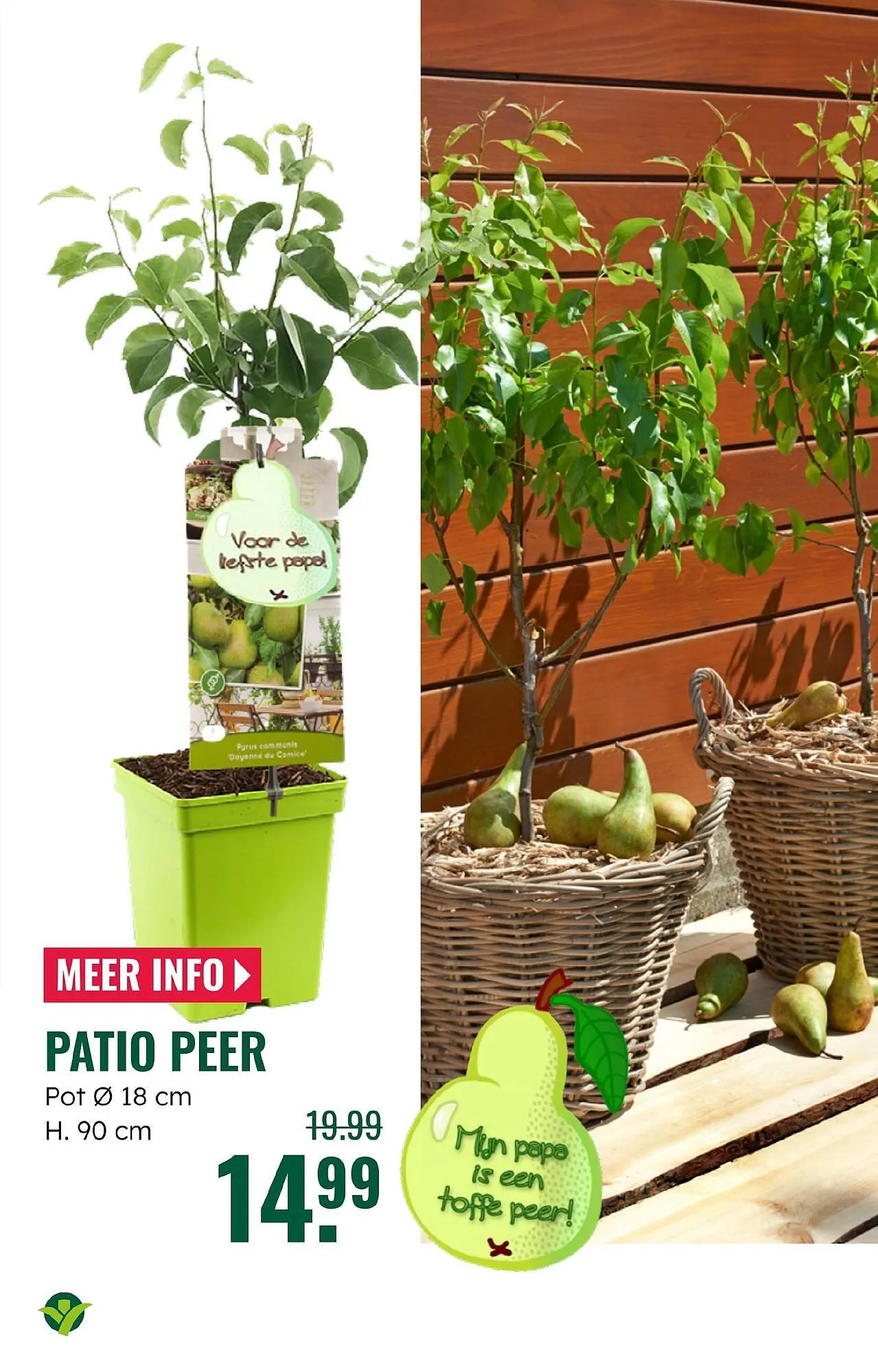 GroenRijk folder van 4 juni tot 17 juni 2025 - Folder pagina 15