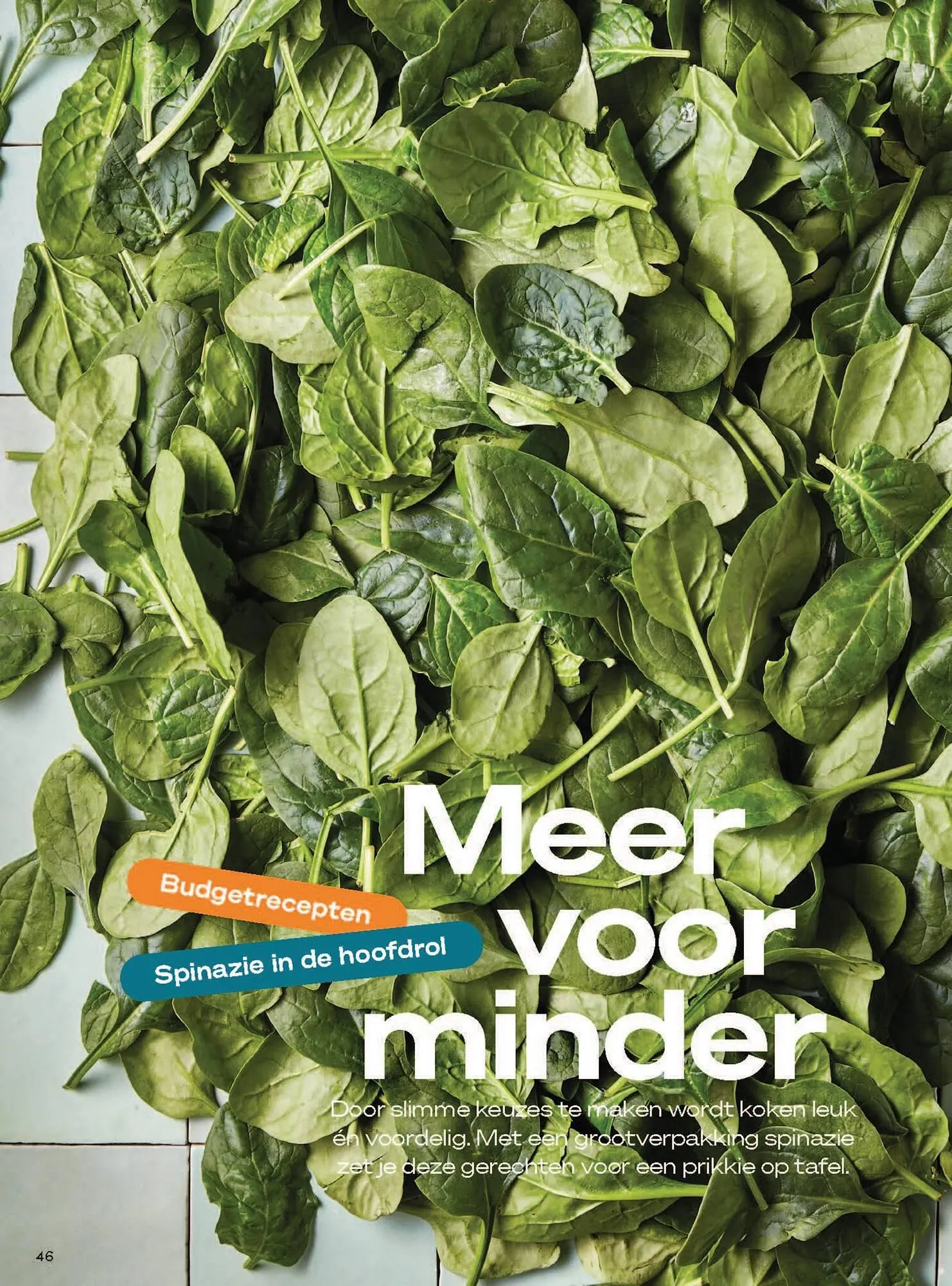 Boodschappen folder van 1 maart tot 31 maart 2026 - Folder pagina 46