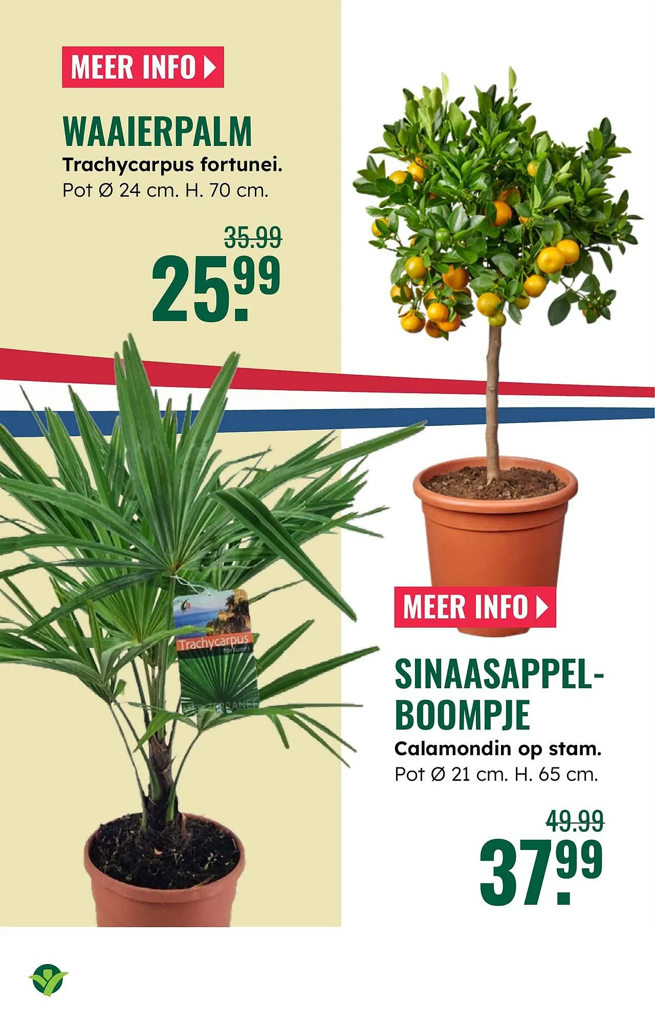 GroenRijk folder van 23 april tot 29 april 2026 - Folder pagina 8