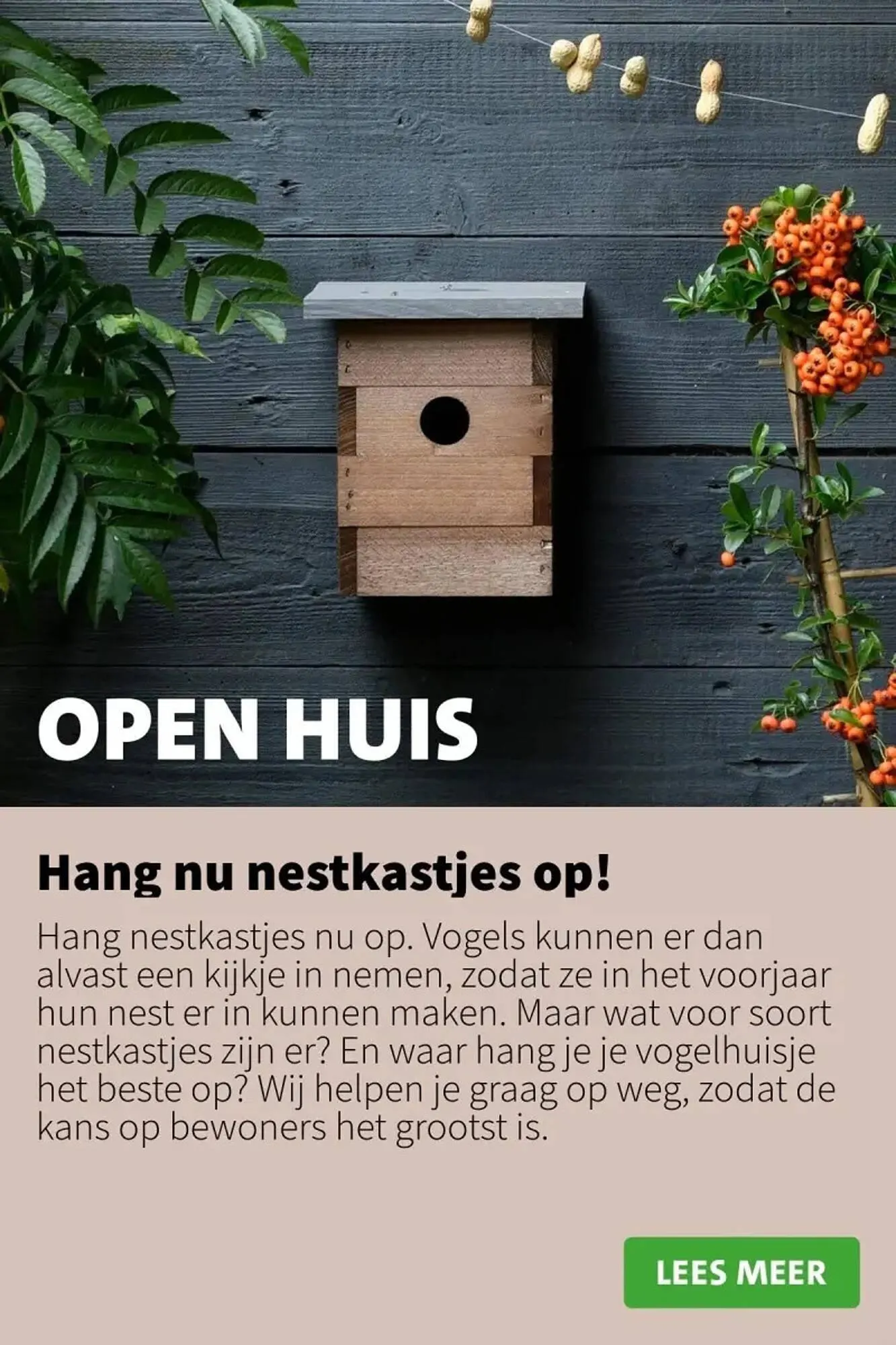 Intratuin Folder van 27 november tot 28 november 2023 - folder pagina 5