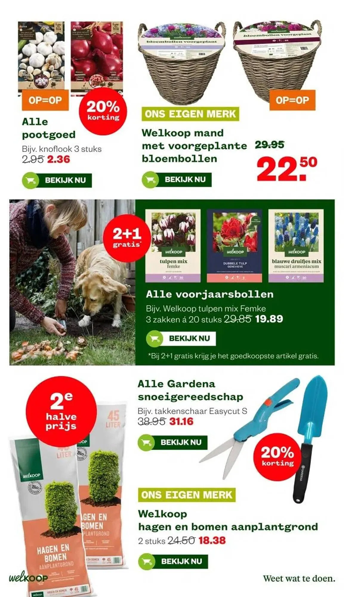 Welkoop folder van 17 november tot 23 november 2025 - Folder pagina 16