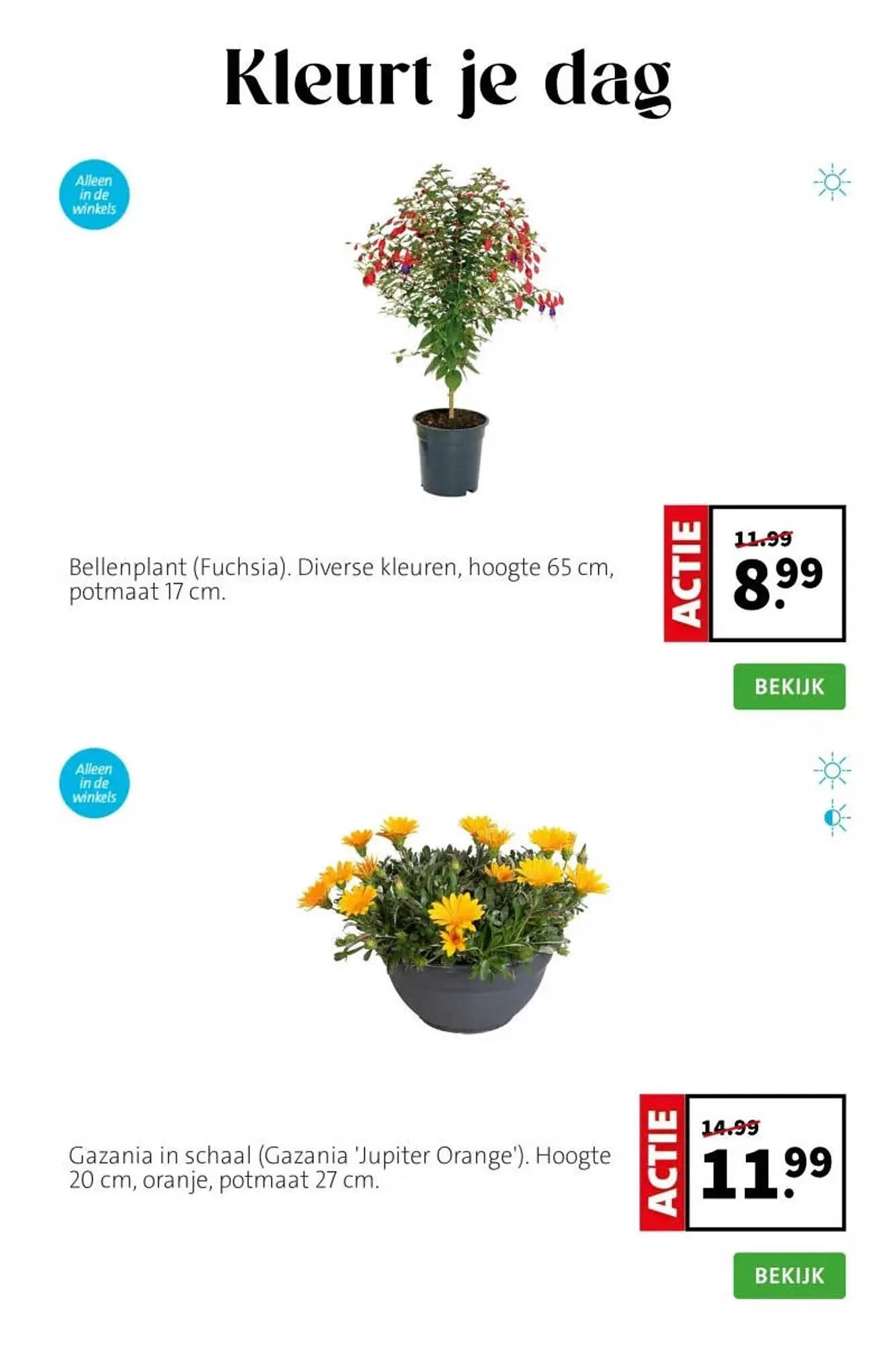 Intratuin folder van 20 april tot 26 april 2026 - Folder pagina 4