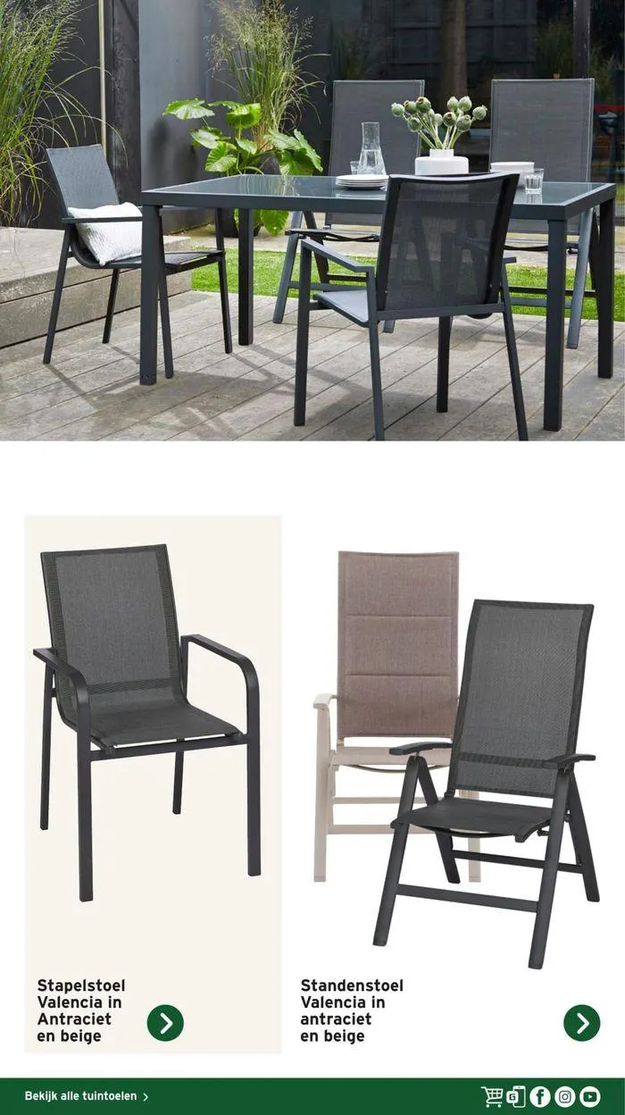 Gamma Decoratief Tuinmagazine 2024 van 4 maart tot 28 februari 2025 - Folder pagina 8