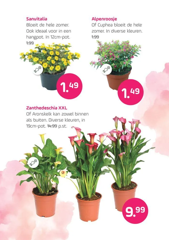 Buitenleven van 16 mei tot 30 mei 2024 - Folder pagina 6