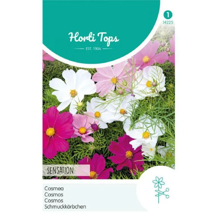 Cosmea - Sensation