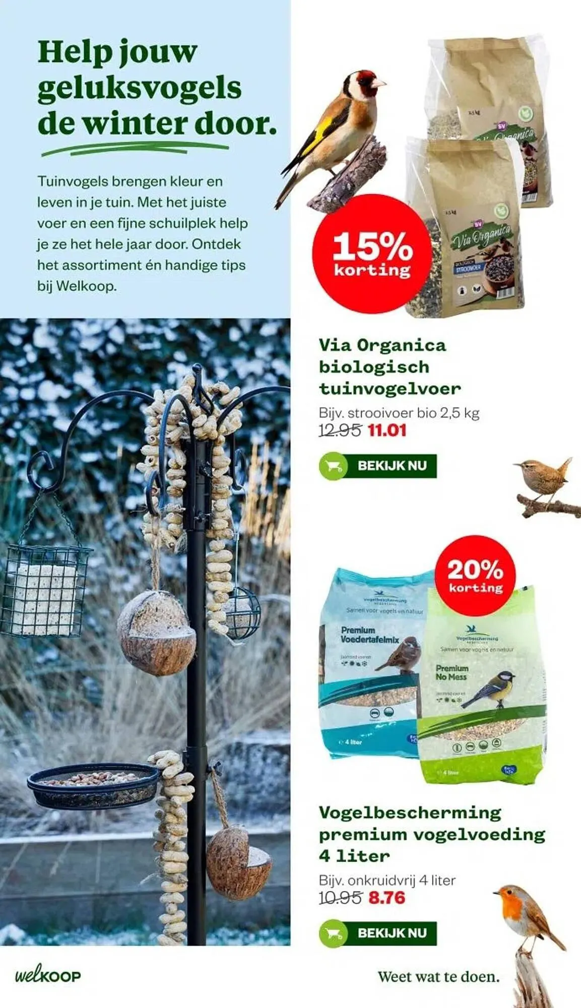 Welkoop folder van 26 januari tot 1 februari 2026 - Folder pagina 15