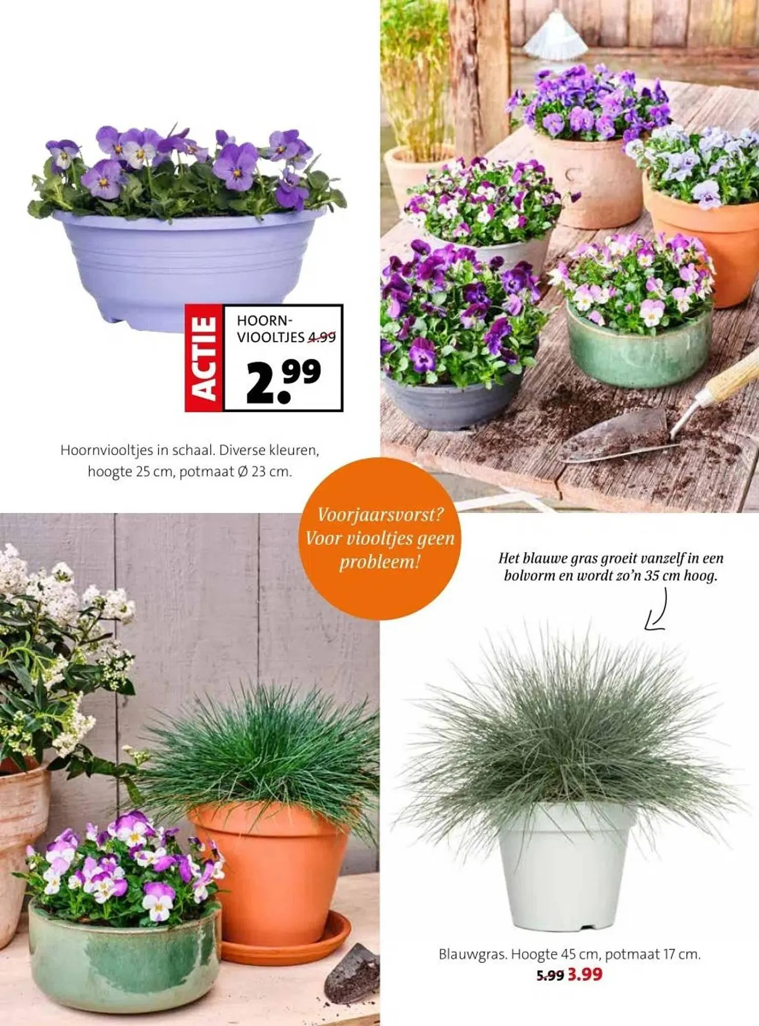 Intratuin folder van 17 februari tot 23 februari 2025 - Folder pagina 7