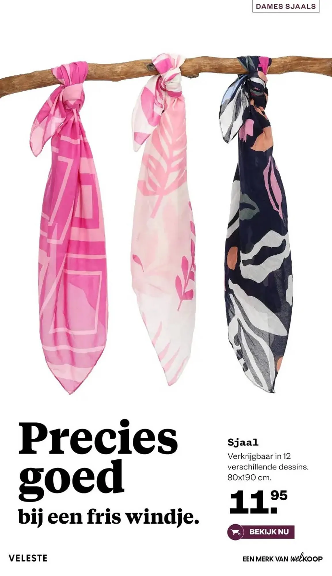 Veleste magazine van 18 februari tot 29 maart 2026 - Folder pagina 31