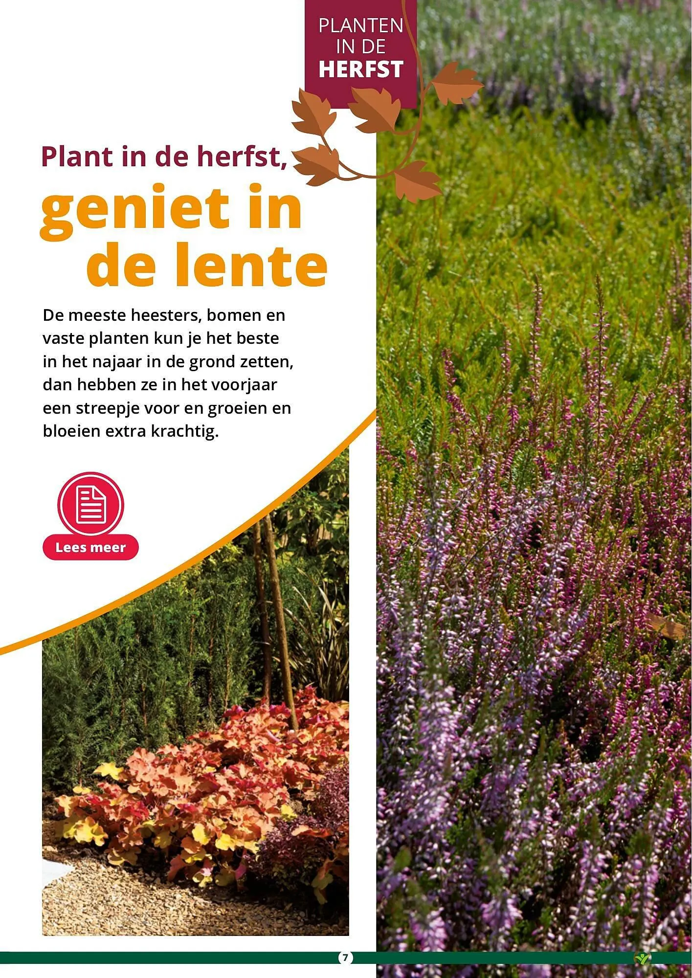 GroenRijk folder van 17 september tot 31 december 2023 - Folder pagina 7