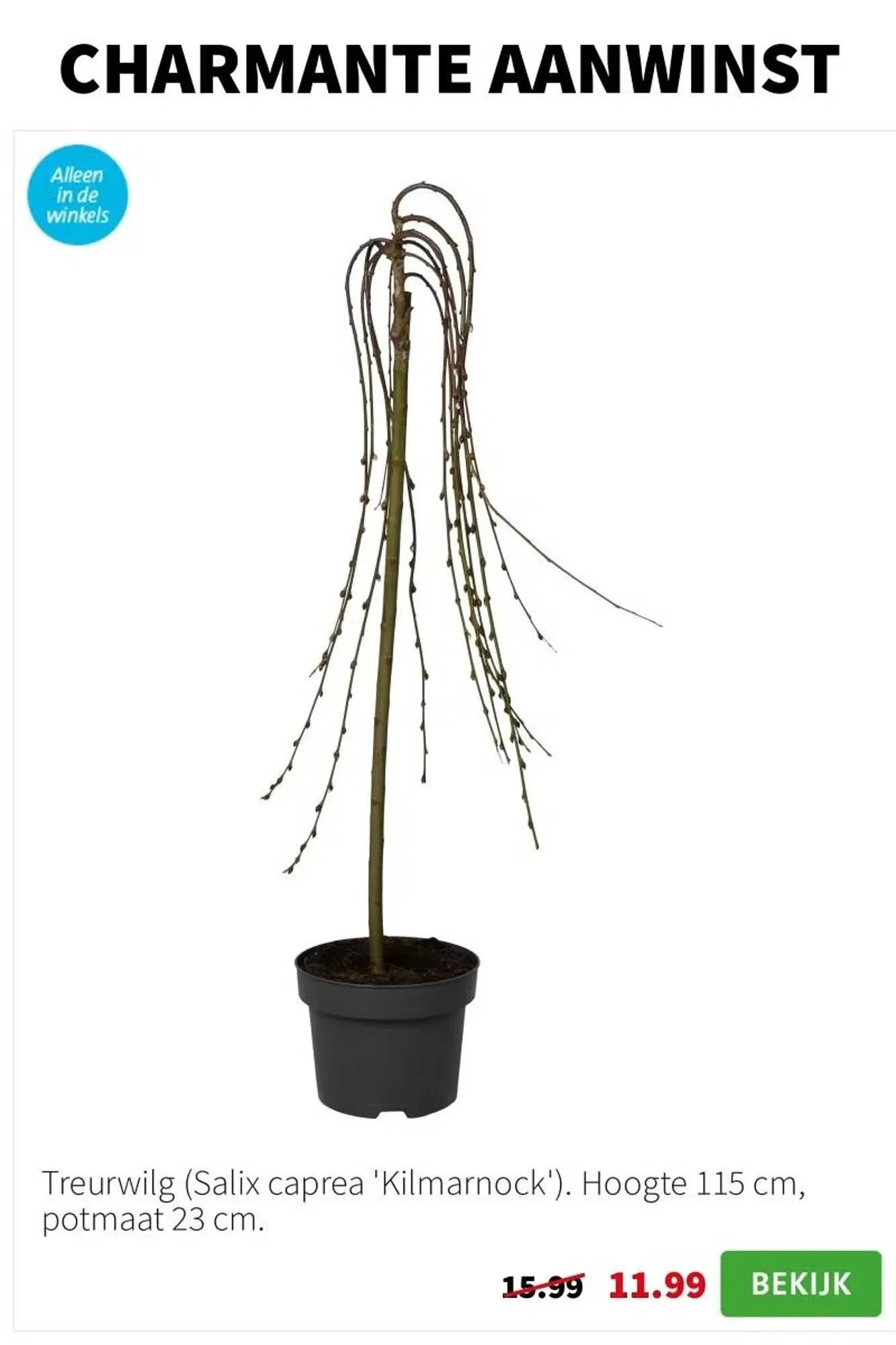 Intratuin folder van 24 maart tot 30 maart 2025 - Folder pagina 7