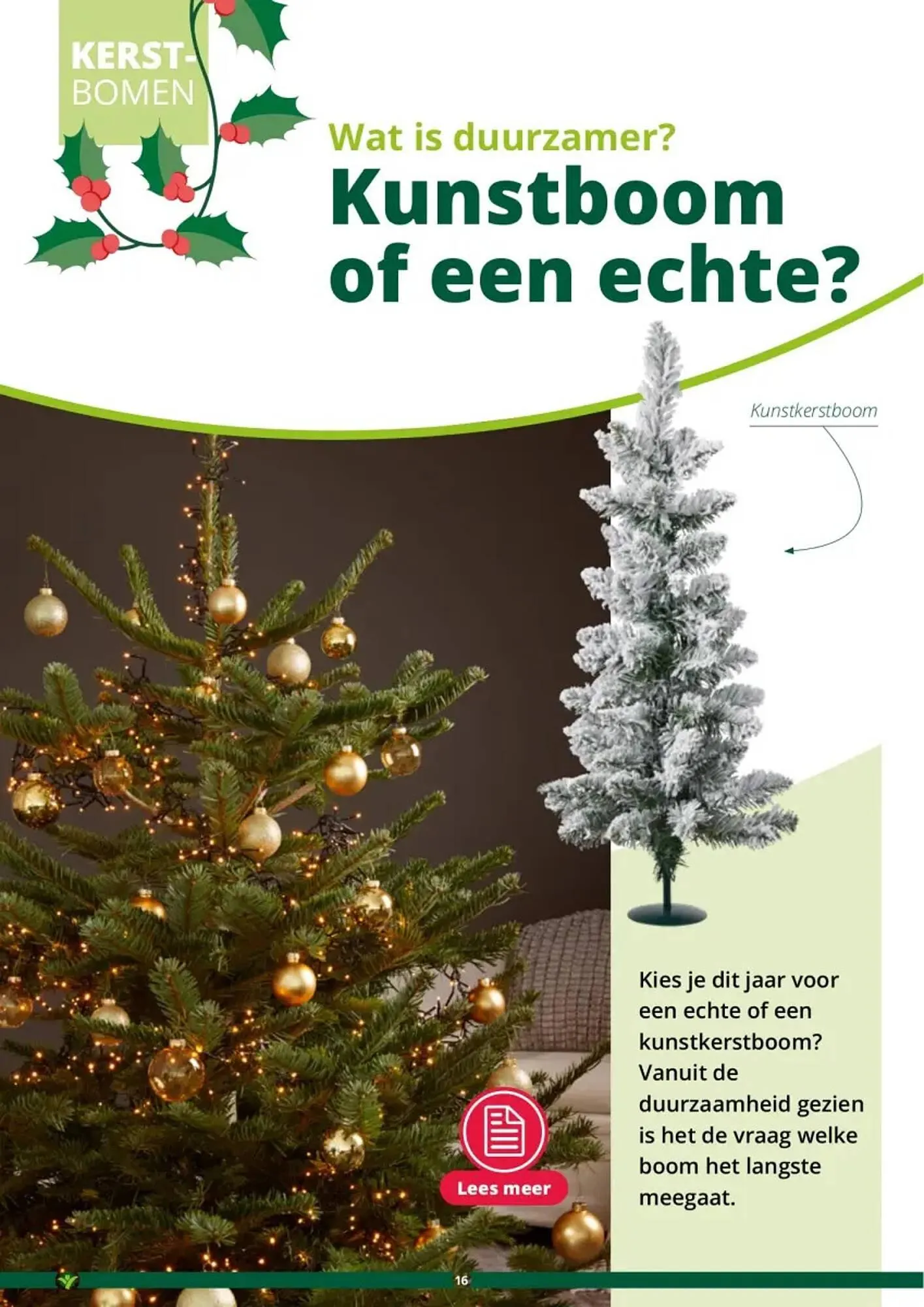 GroenRijk folder van 1 november tot 26 december 2023 - Folder pagina 16