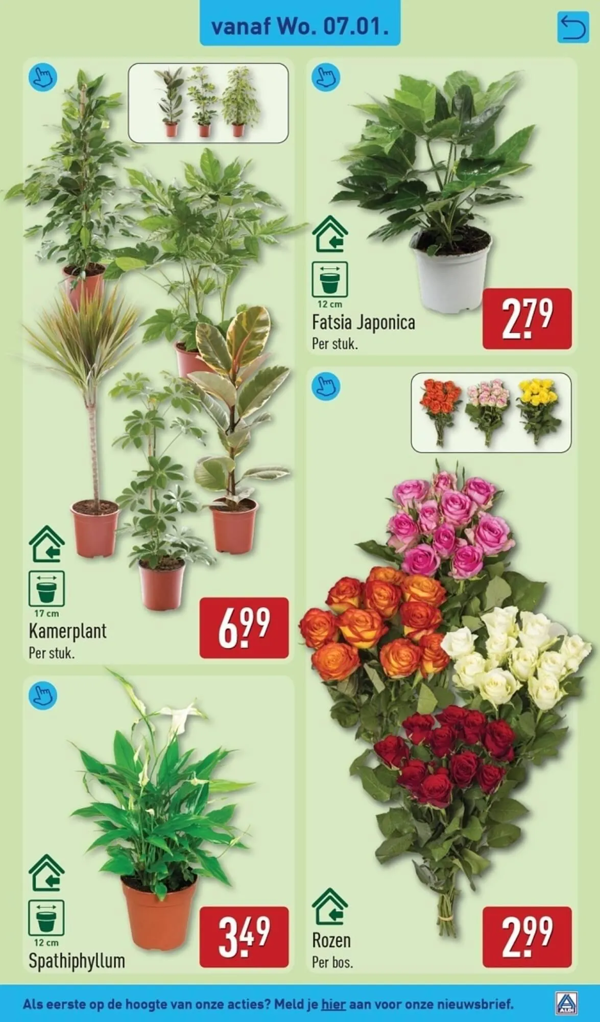 ALDI folder van 5 januari tot 11 januari 2026 - Folder pagina 33