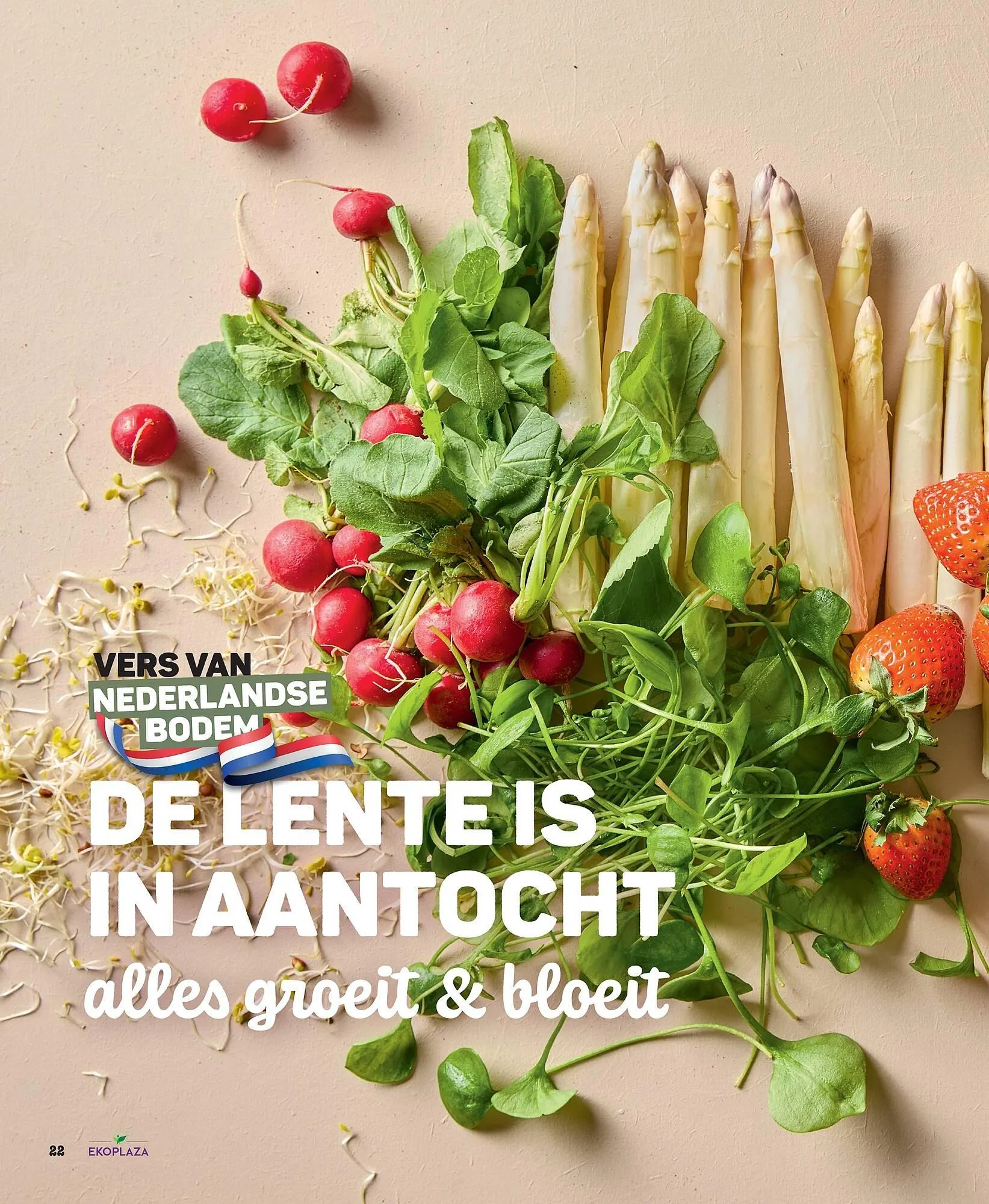 Ekoplaza magazine van 18 maart tot 21 mei 2026 - Folder pagina 22