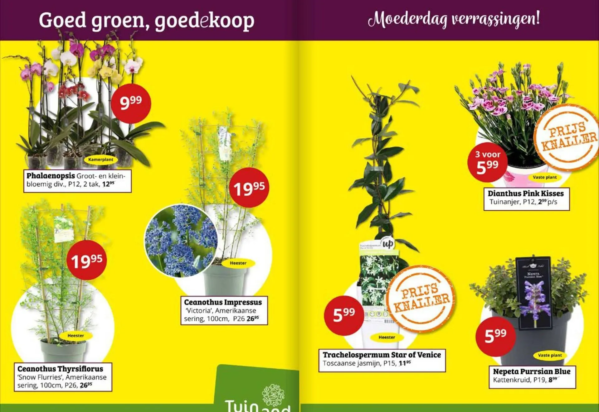 Tuinland folder van 26 april tot 11 mei 2025 - Folder pagina 2