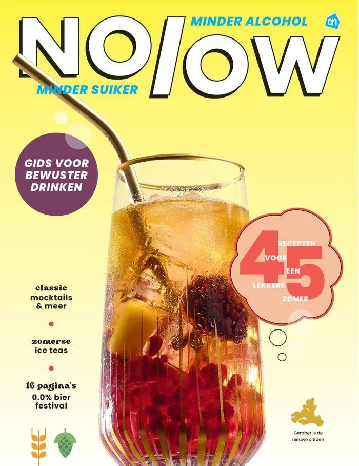 Gids Voor Bewuster Drinken - 1