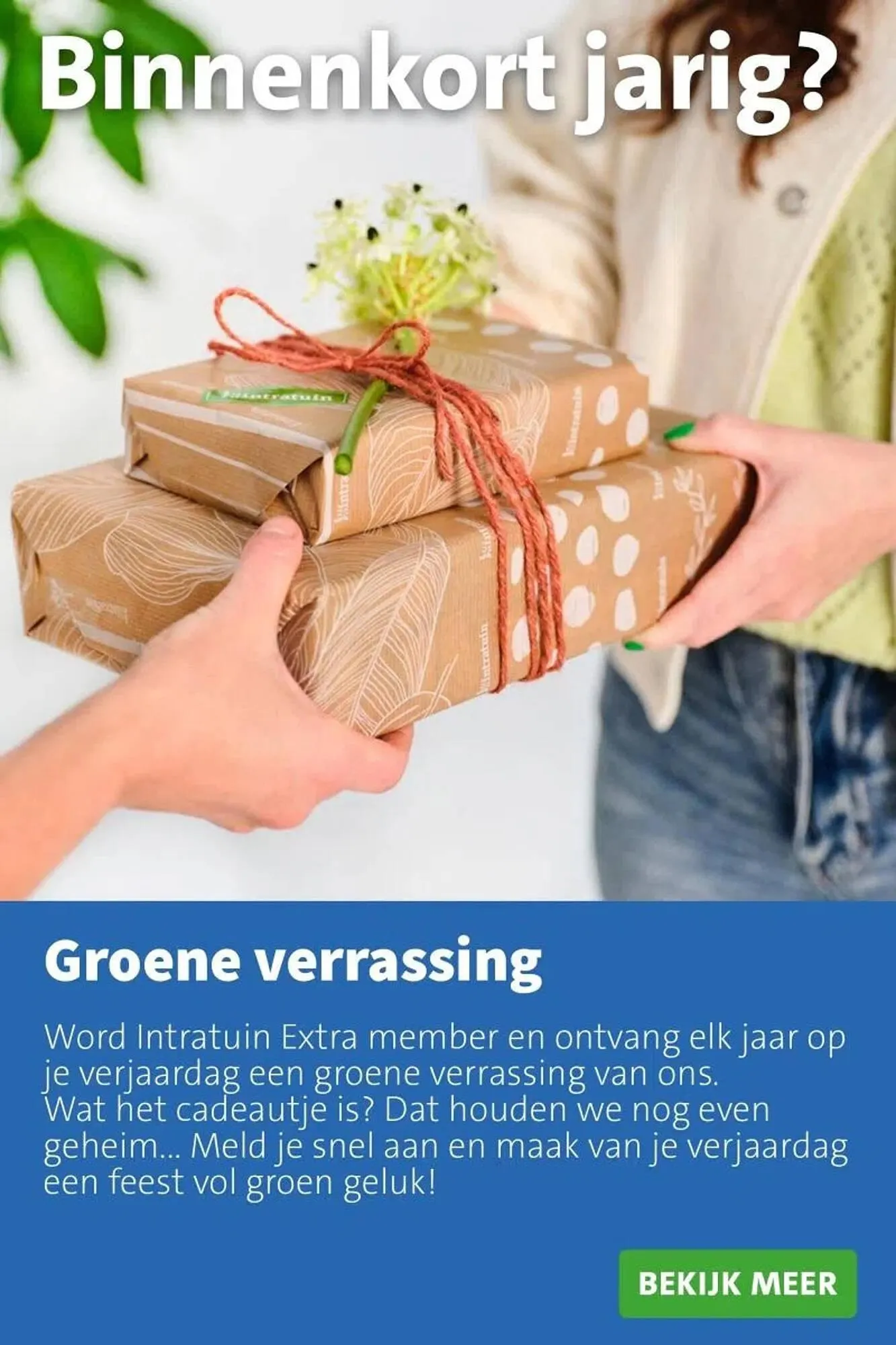 Intratuin folder van 2 februari tot 8 februari 2026 - Folder pagina 14