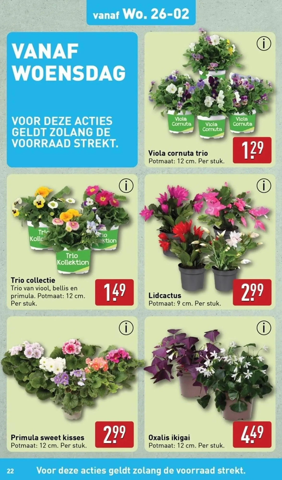 ALDI folder van 24 februari tot 2 maart 2025 - Folder pagina 22