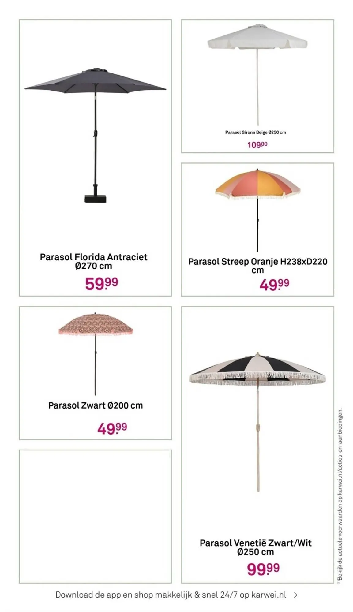 Karwei Tuincatalogus 2024 van 4 maart tot 31 maart 2025 - Folder pagina 43