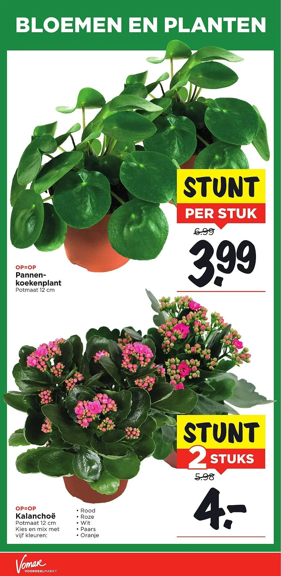 Vomar Voordeelmarkt folder van 2 november tot 8 november 2025 - Folder pagina 31