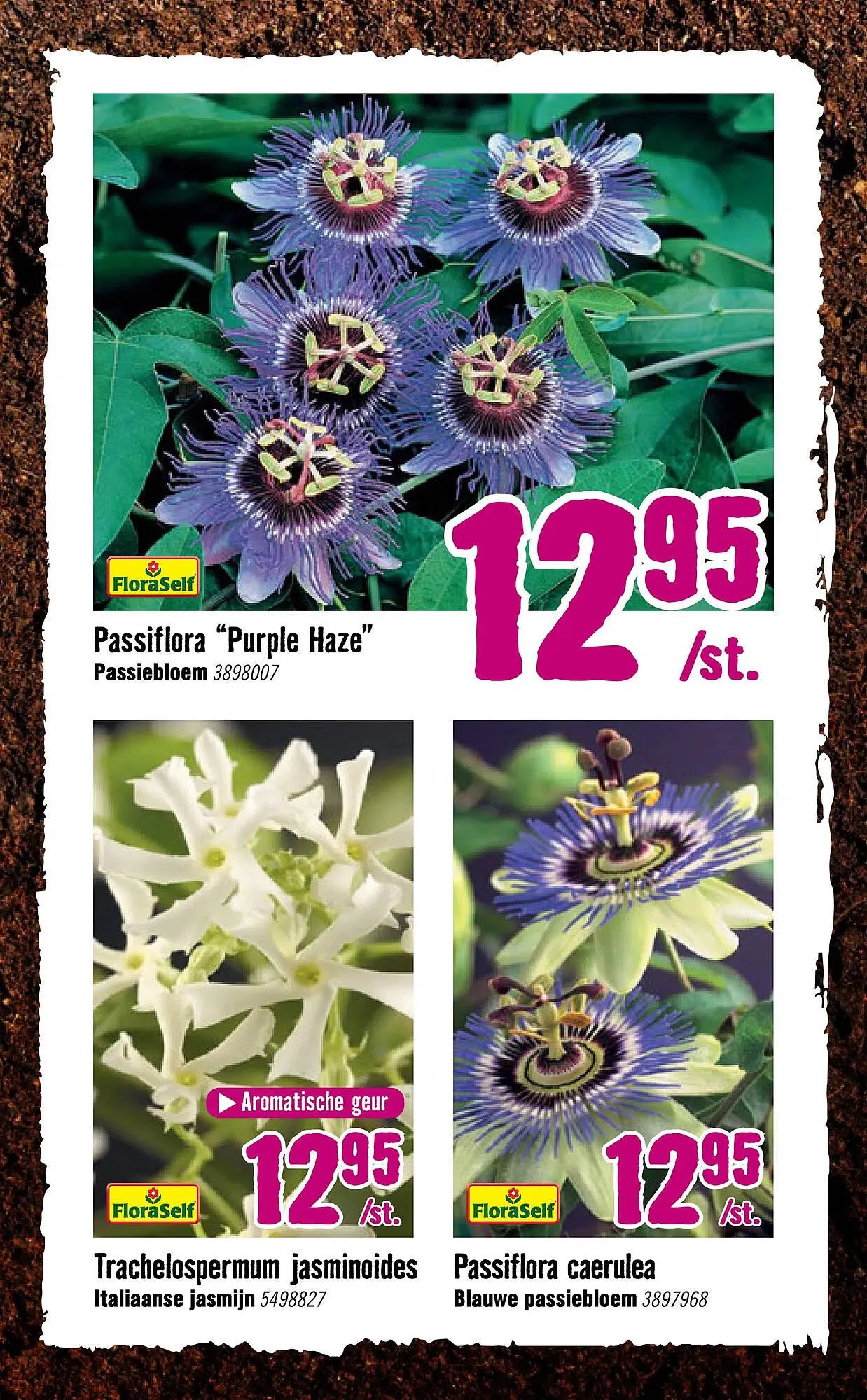 Hornbach folder van 14 april tot 4 mei 2025 - Folder pagina 7