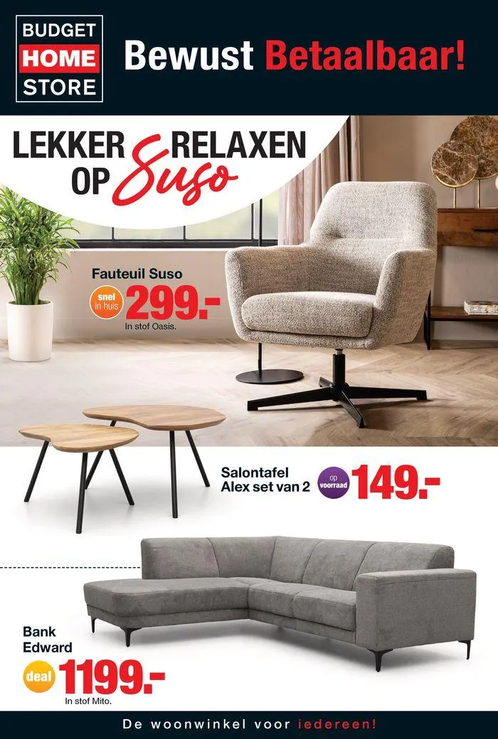 Budget Home Store folder - 1