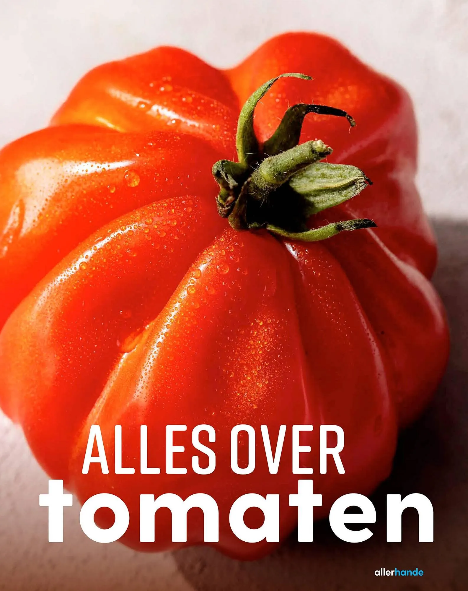 Allerhande magazine van 20 mei tot 30 juni 2025 - Folder pagina 53