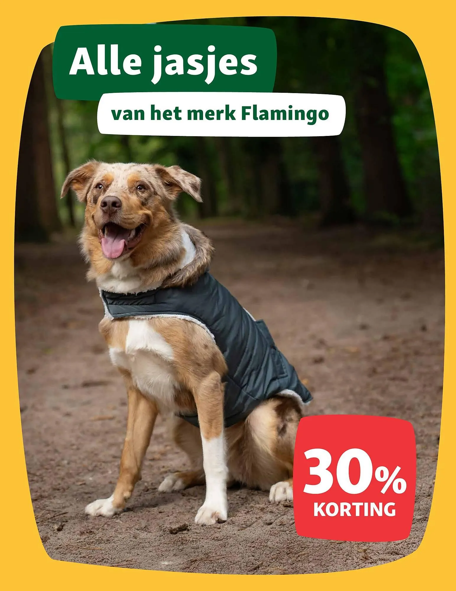 Maxi Zoo folder van 8 september tot 14 september 2025 - Folder pagina 11