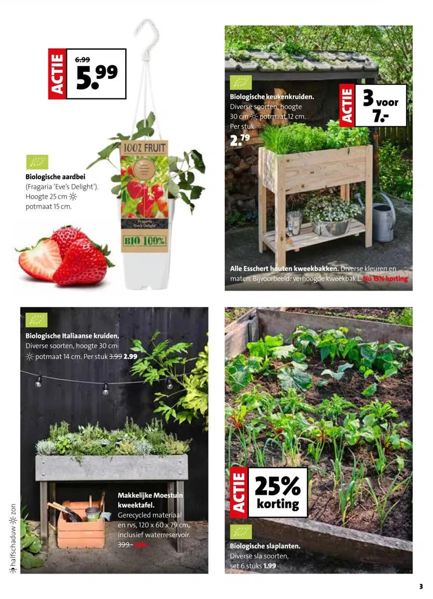 Intratuin folder van 16 maart tot 22 maart 2026 - Folder pagina 3