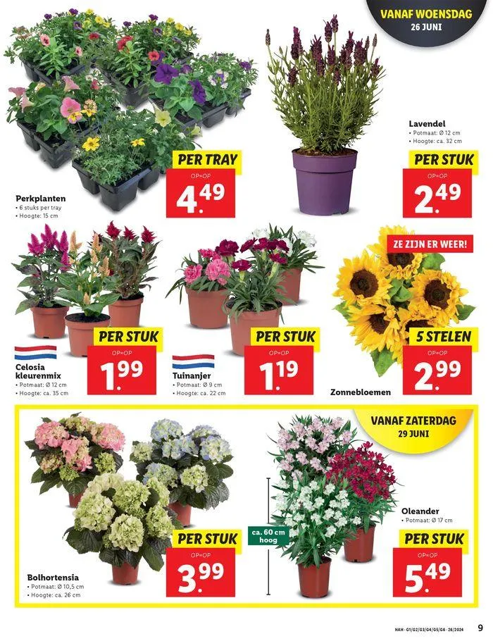 Lidl folder van 20 juni tot 3 juli 2024 - Folder pagina 11