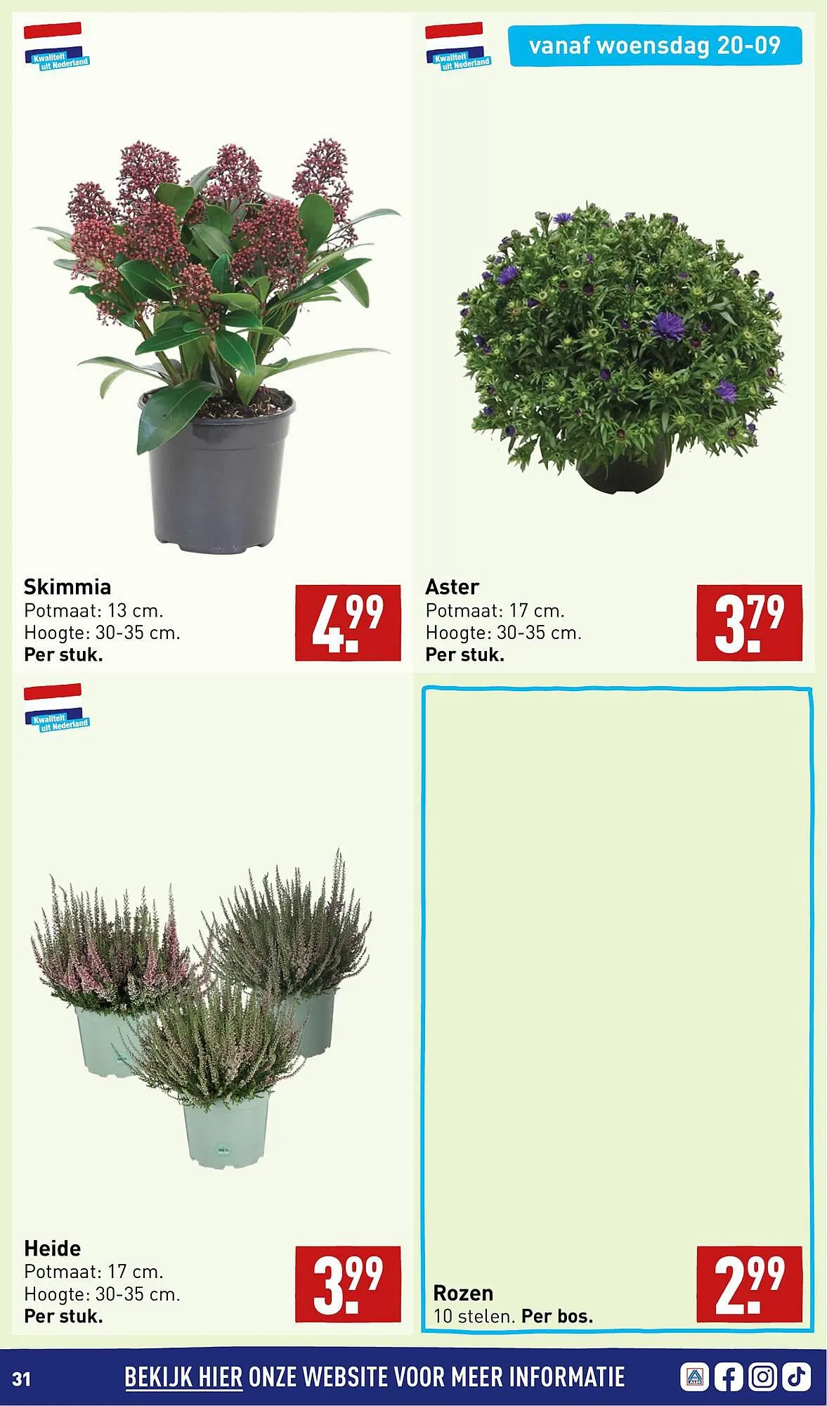 ALDI folder van 18 september tot 24 september 2023 - Folder pagina 31