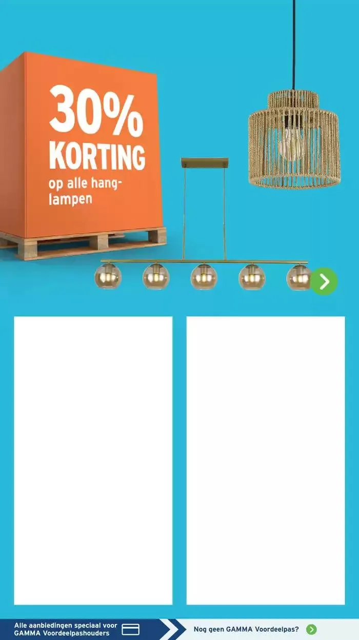 Folder Gamma van 6 januari tot 12 januari 2025 - Folder pagina 22