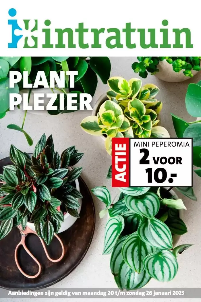 Intratuin folder - 1