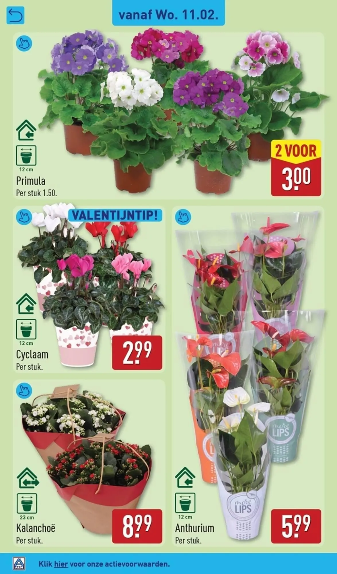 ALDI folder van 9 februari tot 15 februari 2026 - Folder pagina 38