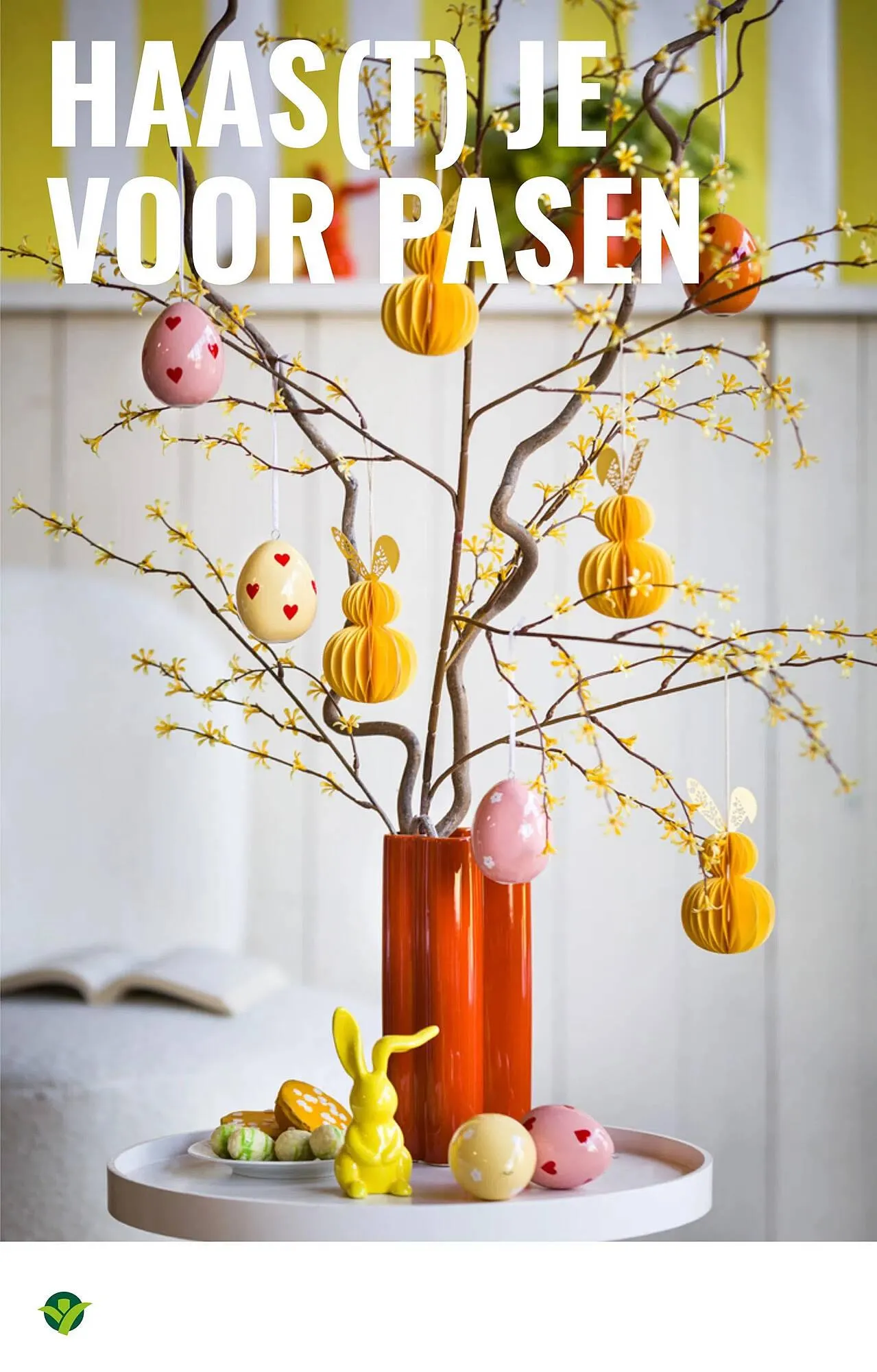 GroenRijk folder van 16 april tot 29 april 2025 - Folder pagina 12