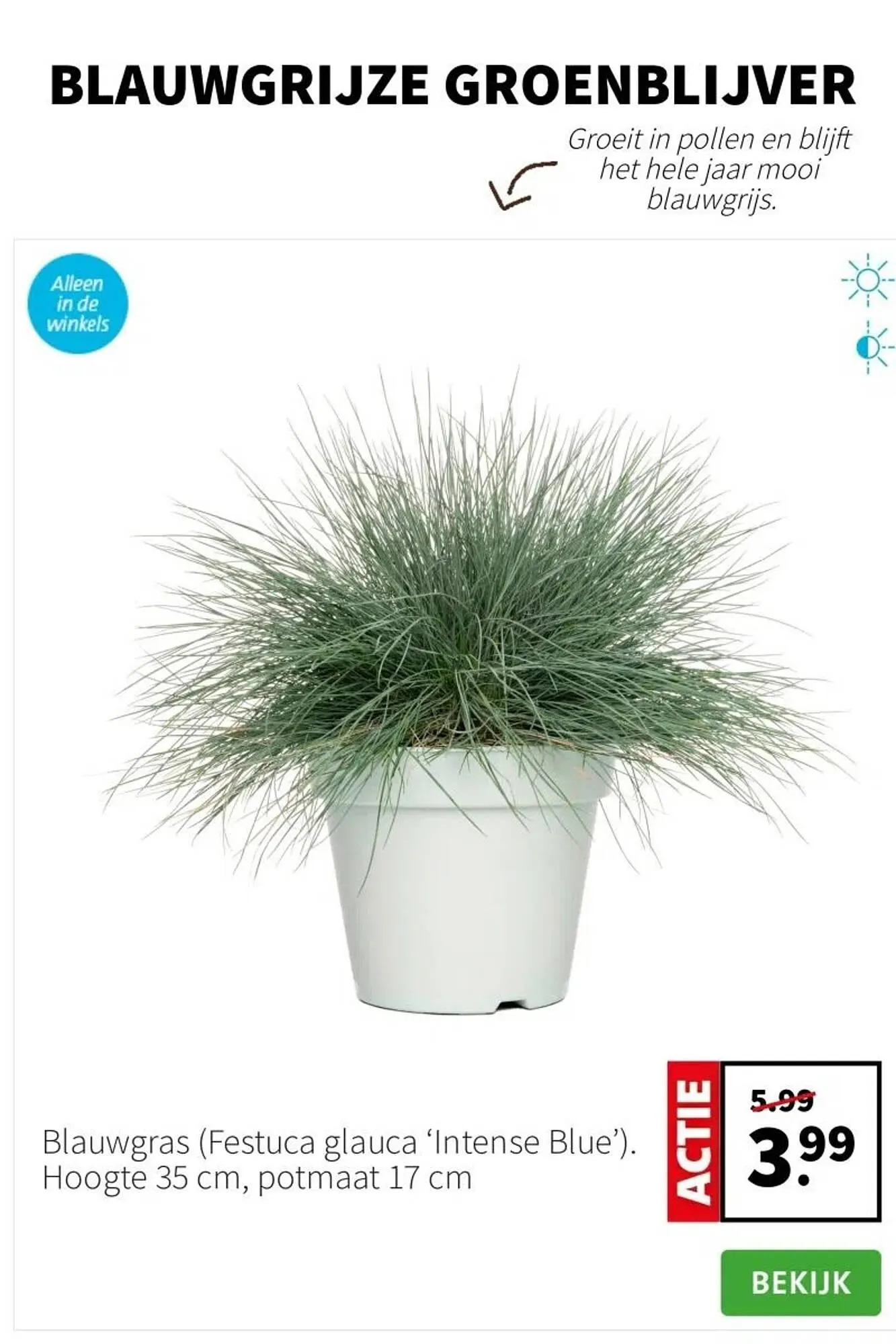 Intratuin folder van 2 september tot 8 september 2024 - Folder pagina 2