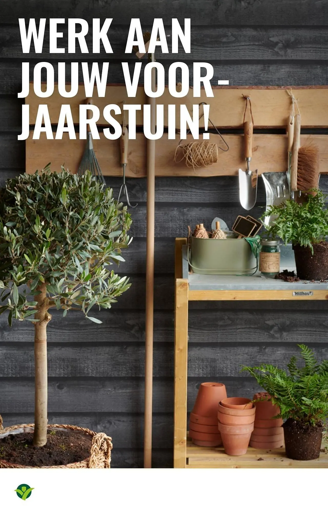 GroenRijk folder van 18 maart tot 1 april 2026 - Folder pagina 10