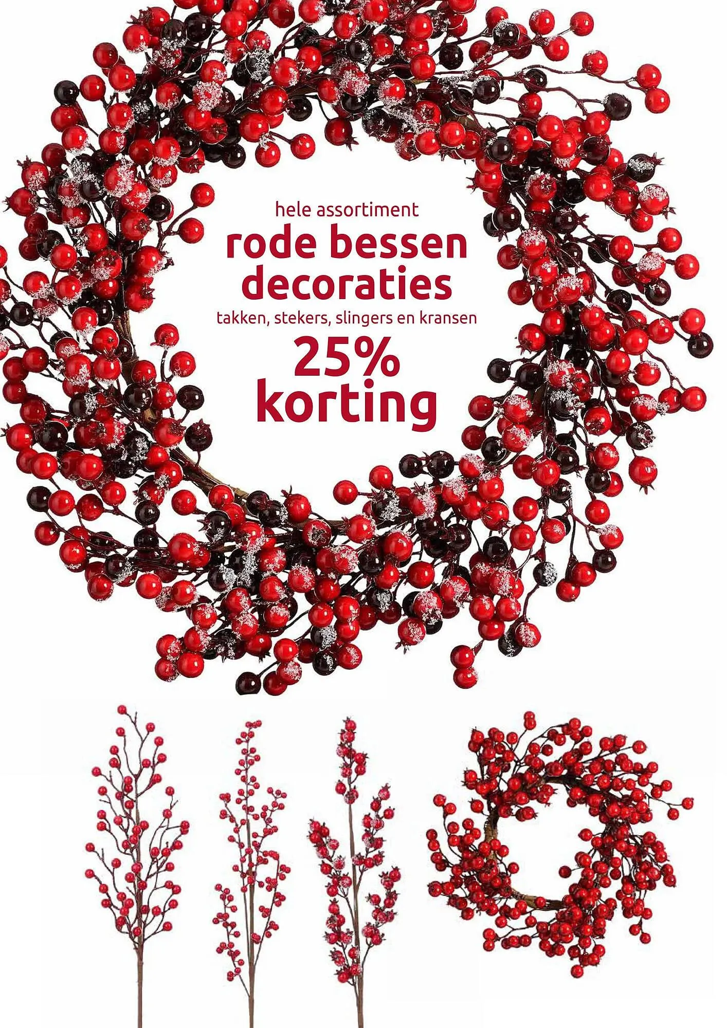 Deka Tuin folder van 27 oktober tot 9 november 2025 - Folder pagina 5