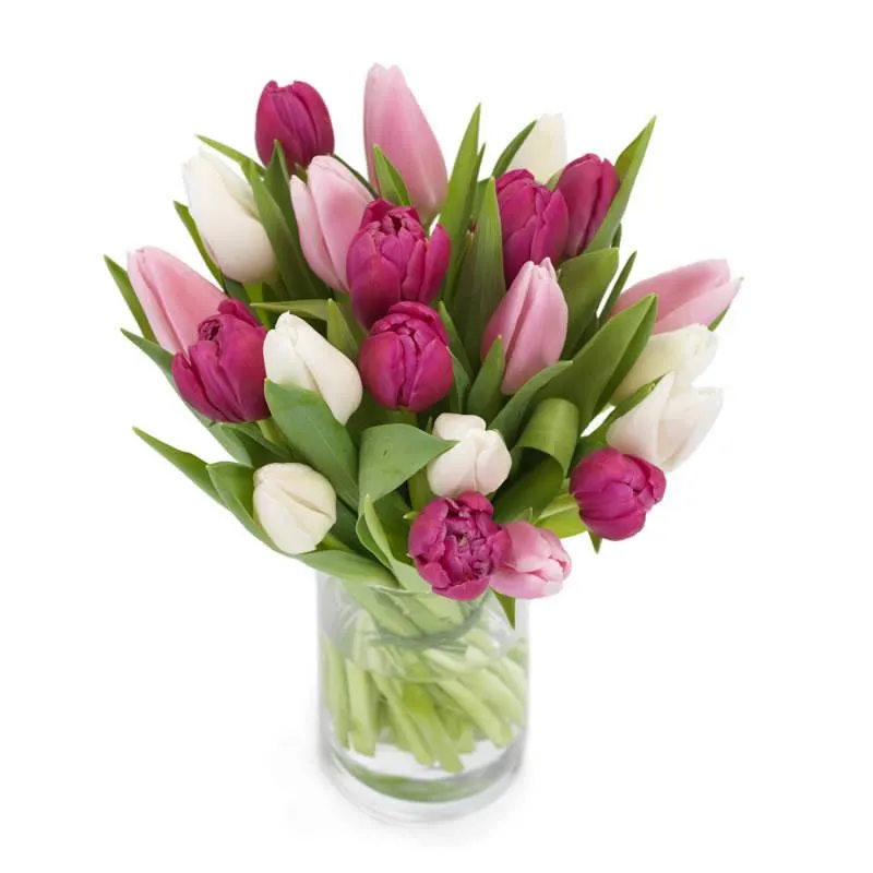 Zoete tulpenmix