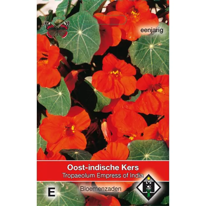 Oost-Indische Kers - Empress of India