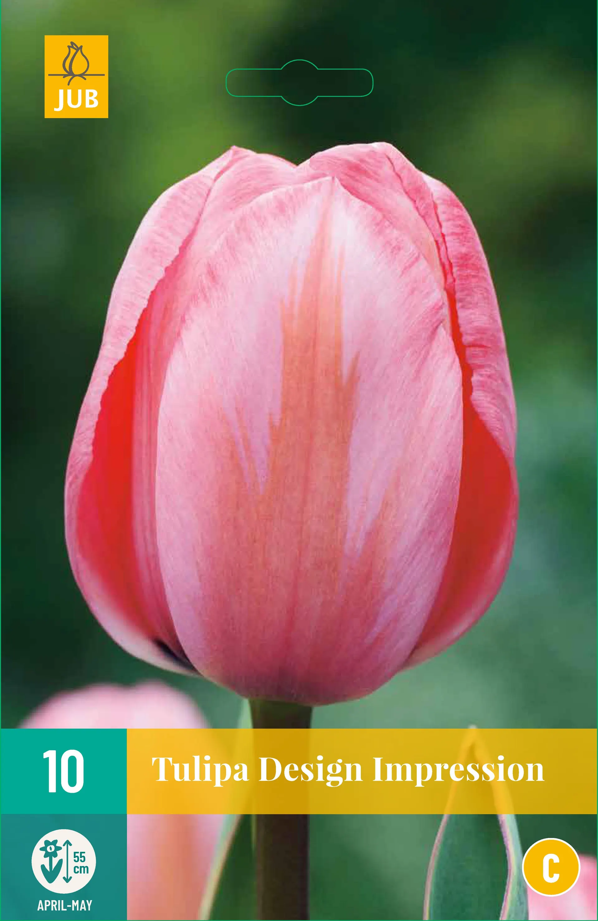 10 Tulipa Design Impression