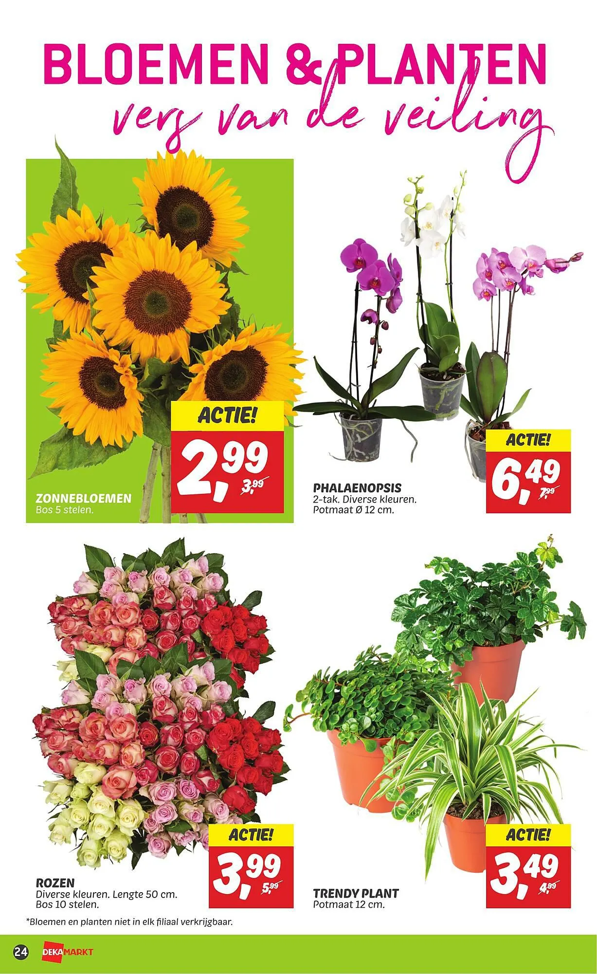 Dekamarkt folder week 33 van 13 augustus tot 19 augustus 2023 - Folder pagina 26