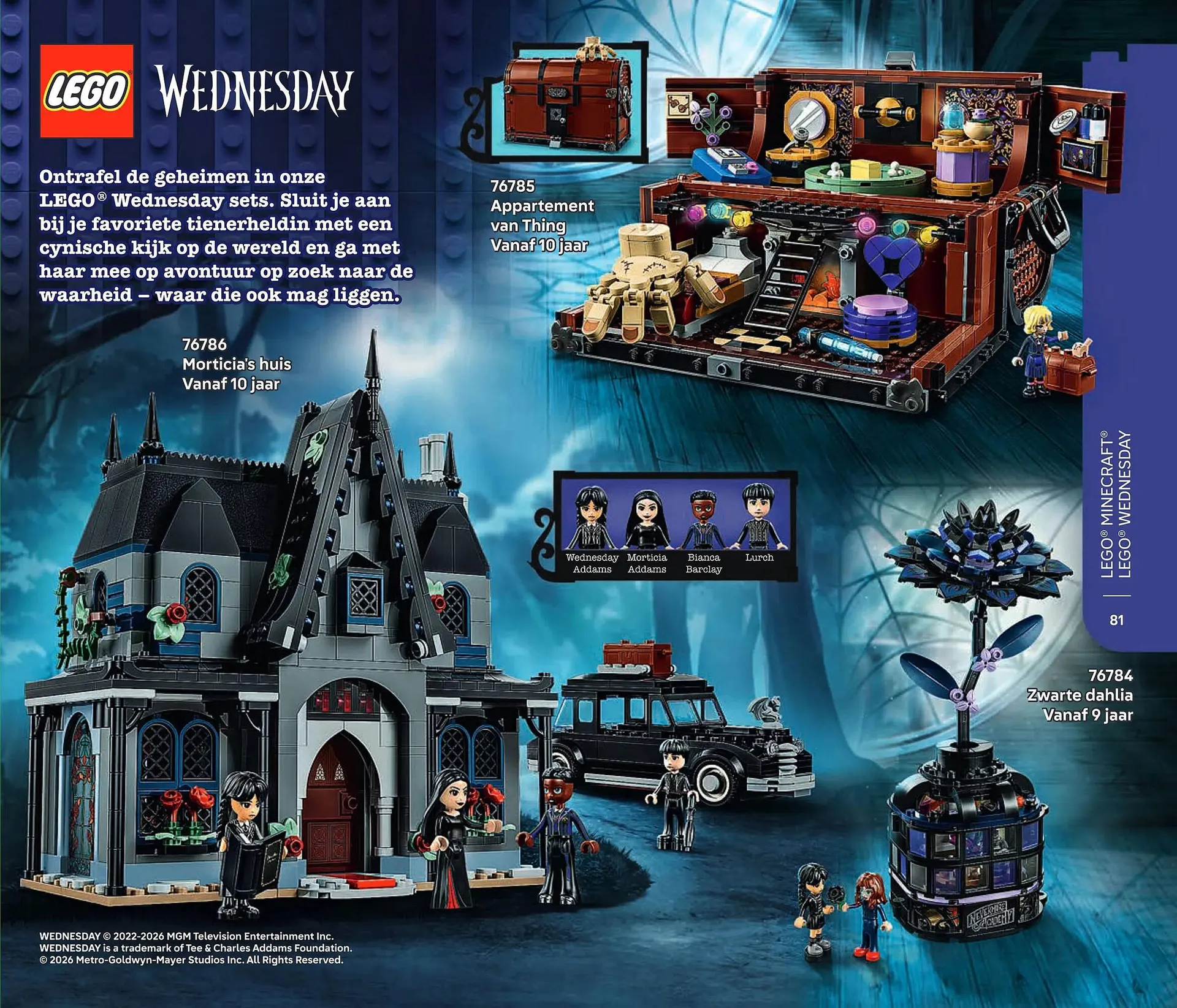 LEGO folder van 1 januari tot 31 januari 2026 - Folder pagina 81