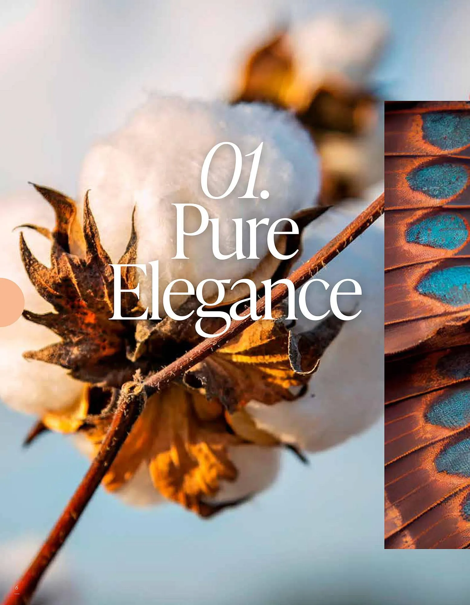 Woonboulevard Poortvliet folder van 19 maart tot 30 april 2025 - Folder pagina 6