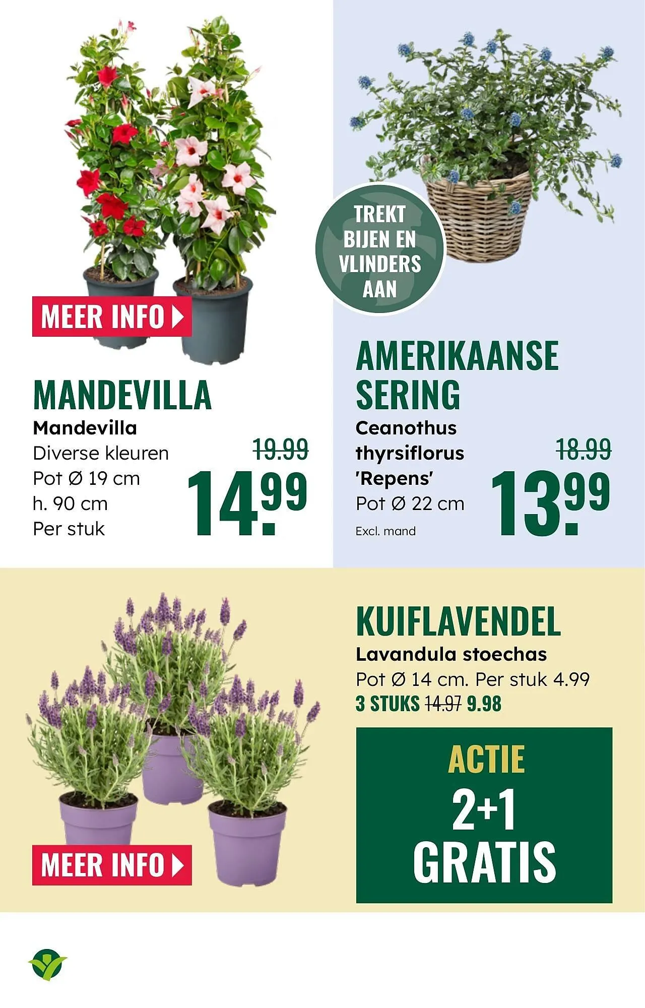 GroenRijk folder van 26 maart tot 1 april 2025 - Folder pagina 9