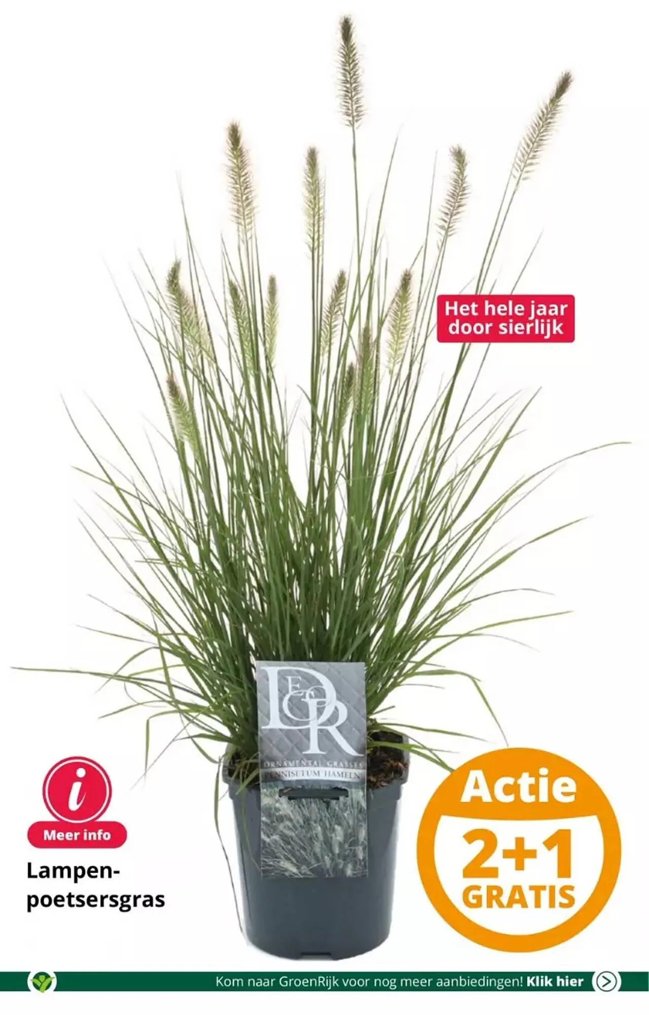 GroenRijk folder van 30 augustus tot 5 september 2023 - Folder pagina 2