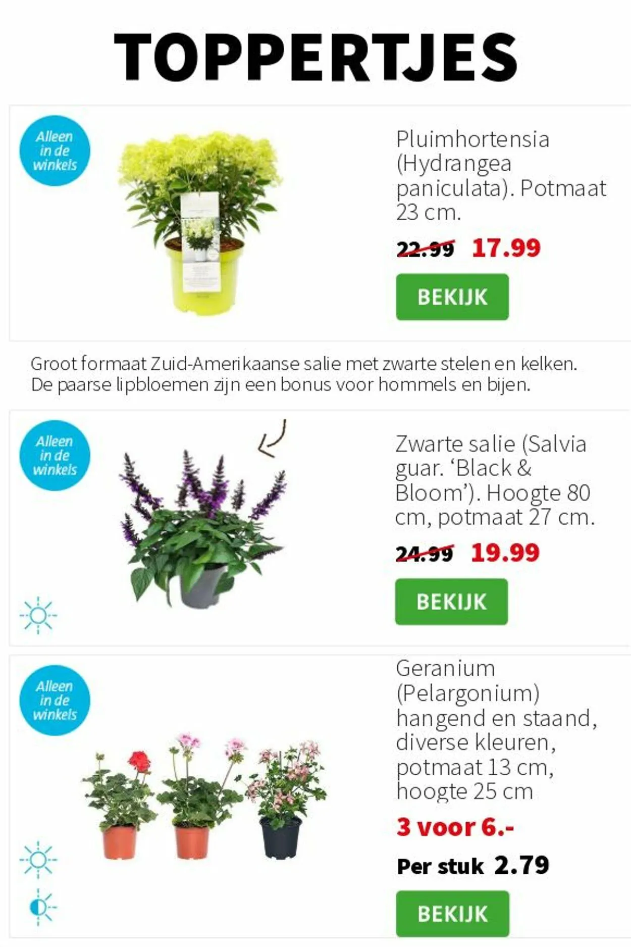 Intratuin Actuele folder van 23 november tot 7 december 2025 - Folder pagina 4