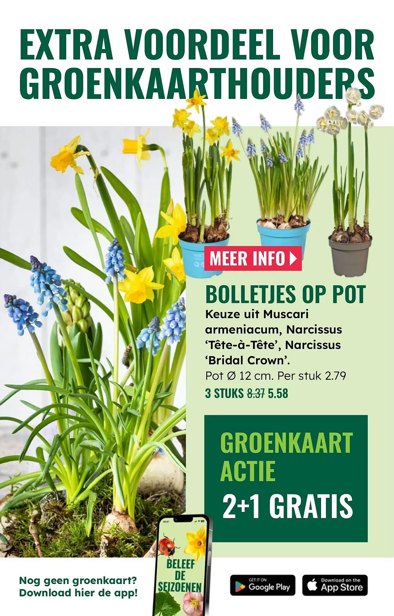 GroenRijk folder van 12 februari tot 18 februari 2026 - Folder pagina 3